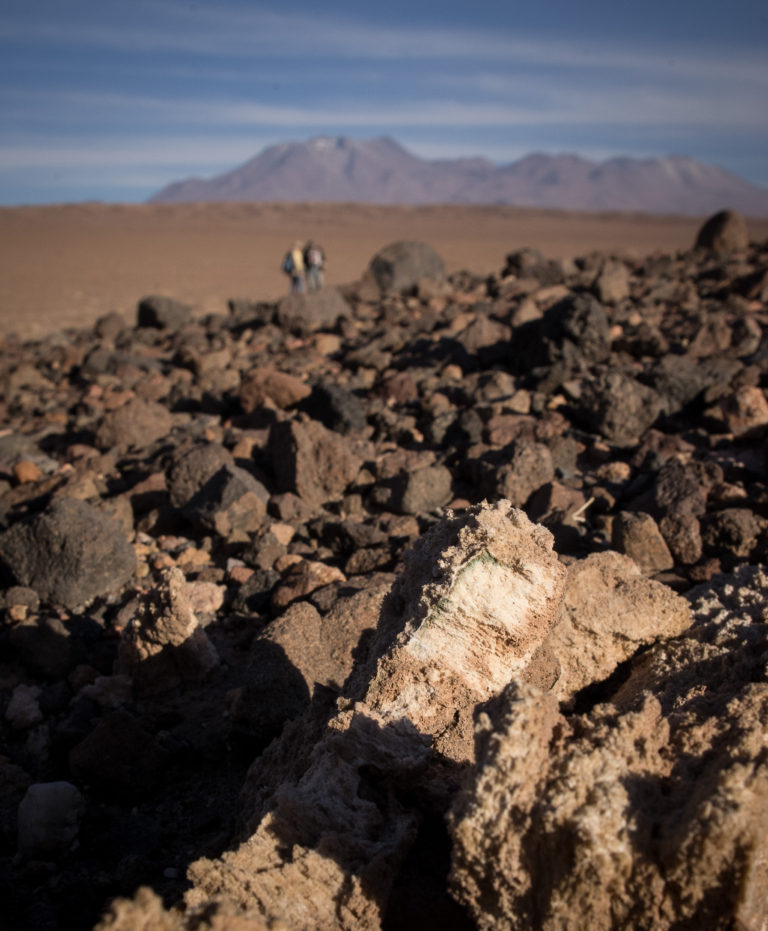 In Northern Chile’s Atacama Desert, one of the driest places on Earth, microorganisms live beneath thin layers of rock to gain some protection from harsh winds and solar radiation. Water, although limited, is stored as a structural element within these rocks. Jocelyne DiRuggiero / Johns Hopkins University