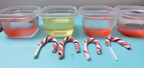 Participants tested different solutions (vinegar, oil, room temperature water and warm water) in the “Disappearing Candy Canes,” workshop to observe variations in dissolution.