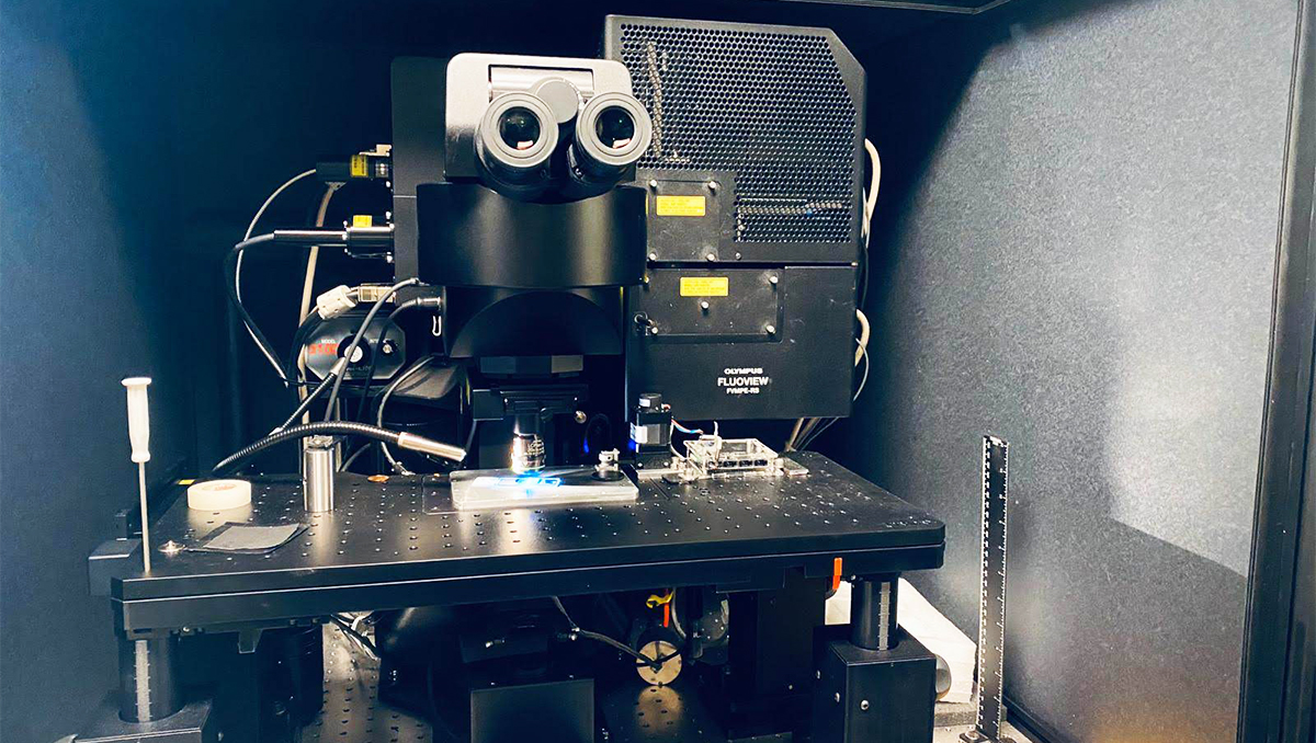 An advanced microscope developed by a former UCI postdoctoral researcher in the Laboratory for Fluorescence Dynamics can quickly and accurately assess the amount of scarring in damaged kidneys.