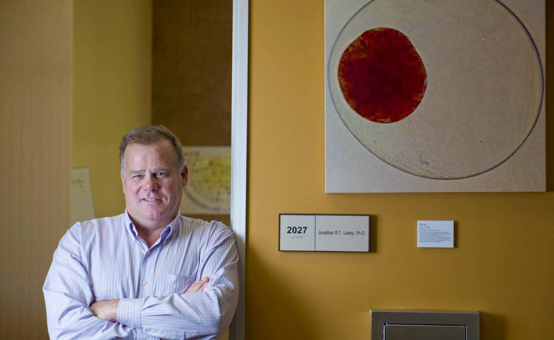 Jonathan Lakey is a pioneer in the transplantation of insulin-stimulating islet cells to treat Type 1 diabetes, but hurdles remain. Steve Zylius / UCI 