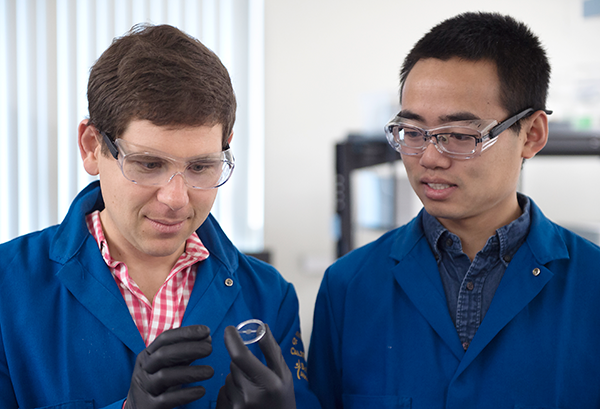 UCI engineering professor Alon Gorodetsky and doctoral student Chengyi Xu have achieved a breakthrough, inventing a stretchy new material modeled after both squid skin and Hollywood dinosaurs with remarkable properties. Steve Zylius / UCI