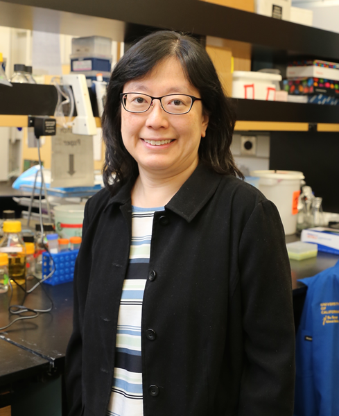 Wang and her team redesign protein nanoparticles that occur in nature to develop new applications.