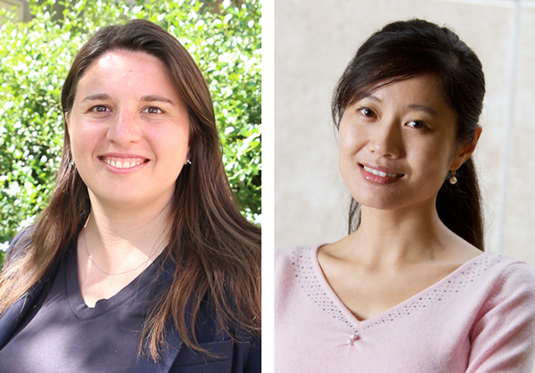 Iryna Zenyuk (left) and Mo Li are working together on an NSF-funded project to assess the feasibility of a lower-temperature, renewable cement manufacturing process.