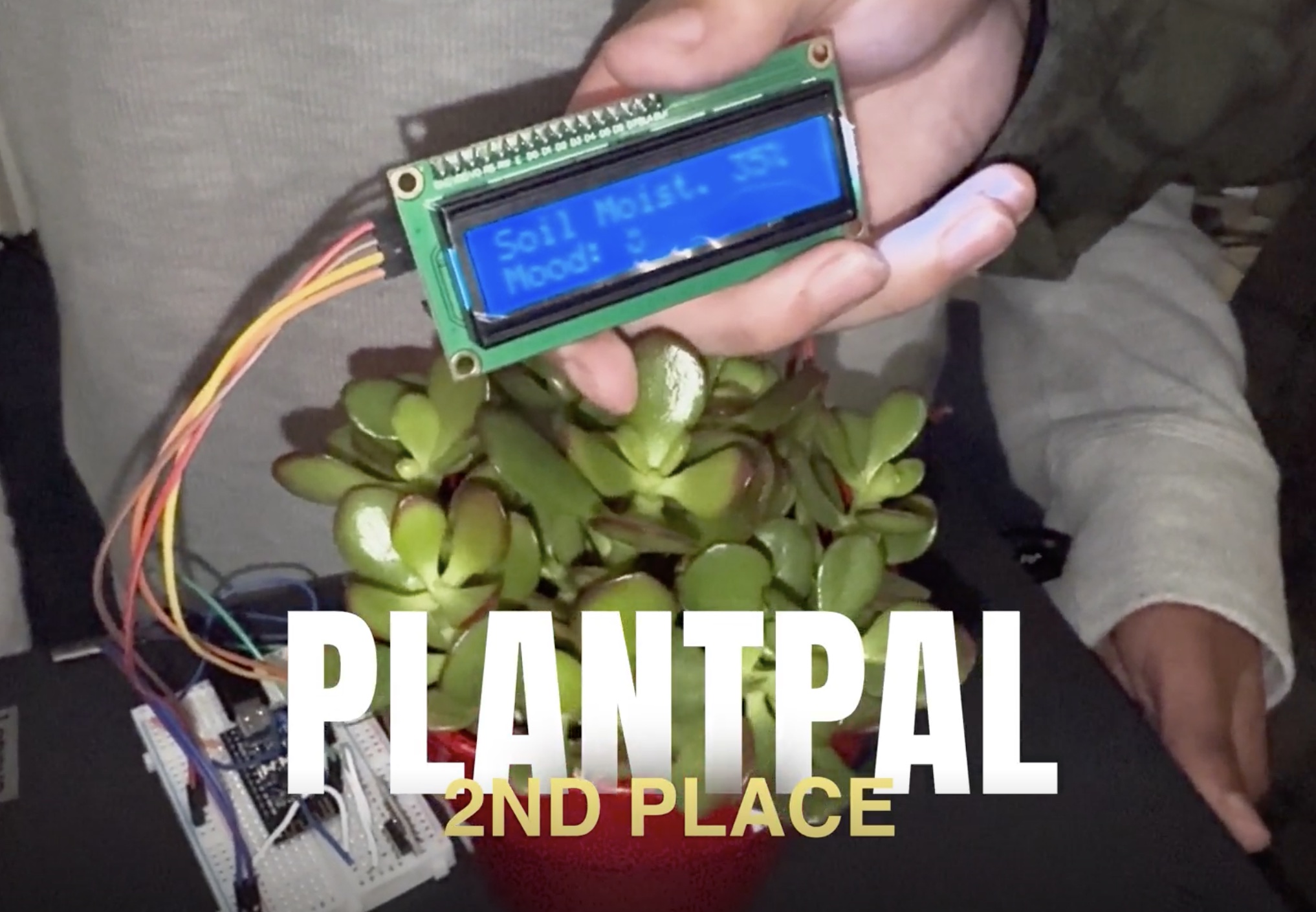 PlantPal senses the condition of a plant and informs through emojis and data.