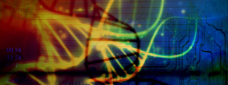 Biomolecular/Genetic Engineering