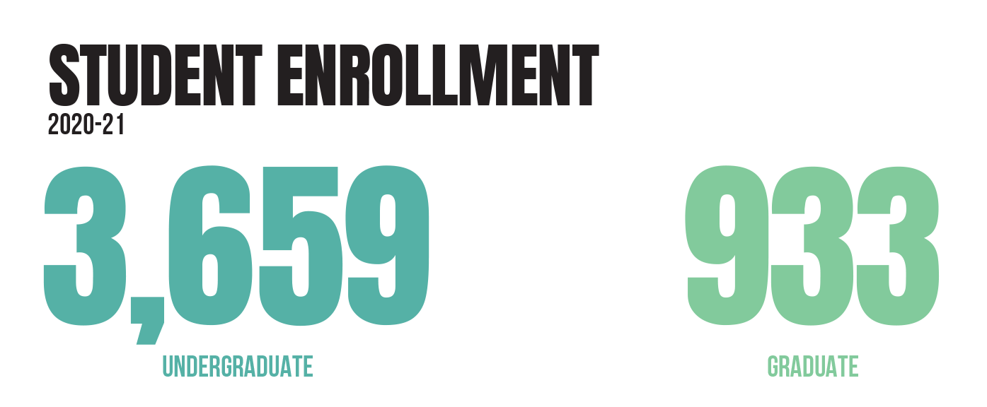 2020-21 Student Enrollment