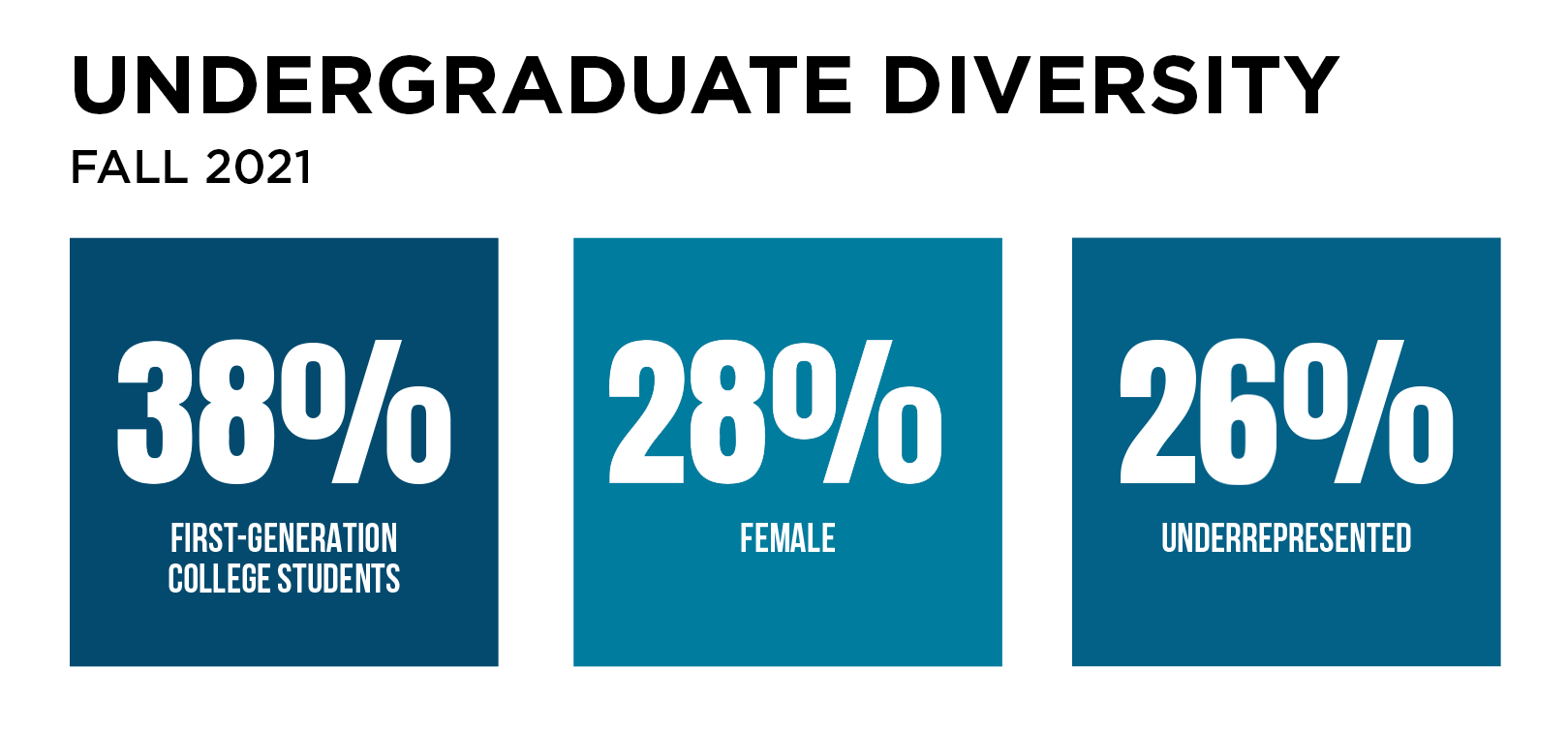 2021-22 Undergraduate Diversity
