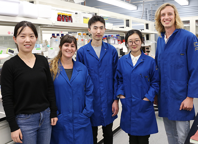 Han Li (left), UCI assistant professor of chemical & biomolecular engineering, and students (from left) Sarah Maxel, Edward King, Linyue Zhang and William Black have developed an artificial, computationally derived cofactor. Debbie Morales / UCI
