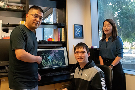 Pictured from left, Feng Qiao, professor of biological chemistry; Ning-Hsiang Hsu, graduate student in biological chemistry; and Han Li, associate professor of chemical and biochemical engineering, are working to enhance the carbon and energy efficiency of a biomanufacturing process. William Black 