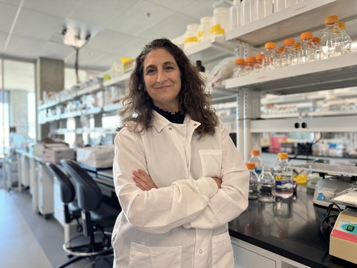 UCI Biomedical Engineering Professor Naomi Chesler
