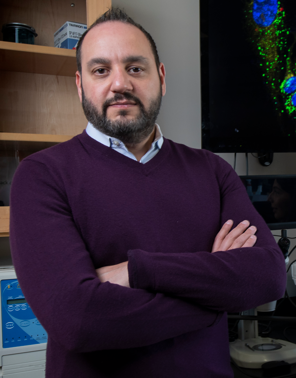 Arash Kheradvar receives a $3.3 million NIH grant for his team’s work on a new imaging technology that could help people with pulmonary arterial hypertension. Steve Zylius / UCI