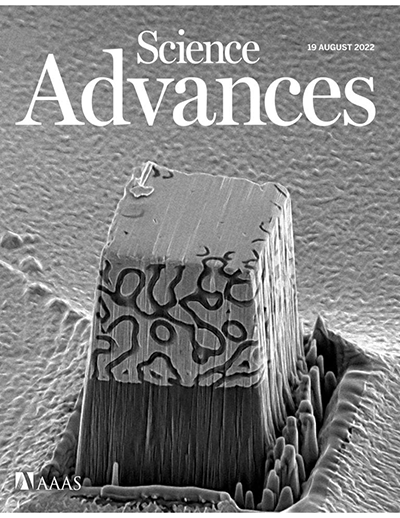 An image captured in the microscopy facilities at UCI, showing the end product of the electrodeposition of nickel around a carbon reinforcement structure, was featured on the front cover of the AAAS journal Science Advances. UCI researchers found that interpenetrating phased composites such as this can result in nano-architectures with exceptional strength and crush resistance. Marti Sala-Casanovas / UCI