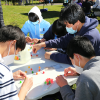 High school students make gumdrop structures during Ant-Gineering, an outreach event, in Aldrich Park.