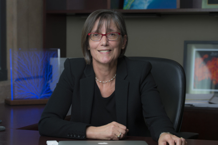 Efi Foufoula-Georgiou, Distinguished Professor of civil and environmental engineering and Samueli Endowed Chair in engineering at UC Irvine, was elected as an international fellow by the Royal Academy of Engineering. Steve Zylius / UC Irvine Steve Zylius / UCI Photo of Efi Foufoula-Georgiou