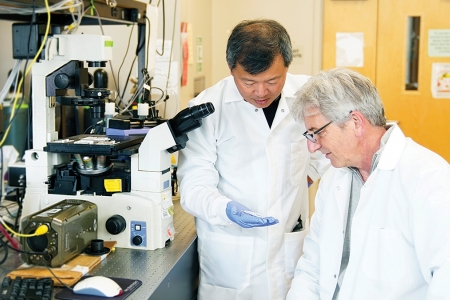 UCI professors Abe Lee and Chris Hughes working together in the Center for Advanced Design and Manufacturing of Integrated Microfluidics (CADMIM) at UCI’s Henry Samueli School of Engineering.  Jackie Connor / UCI Beall Applied Innovation