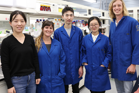 Han Li (left), UCI assistant professor of chemical & biomolecular engineering, and students (from left) Sarah Maxel, Edward King, Linyue Zhang and William Black have developed an artificial, computationally derived cofactor. Debbie Morales / UCI