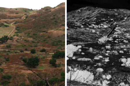 The left image is a Loma Ridge scene captured by the hyperspectral camera. The image on the right represents vegetation health at each pixel by image brightness. Pixels that are the brightest represent the healthiest vegetation.