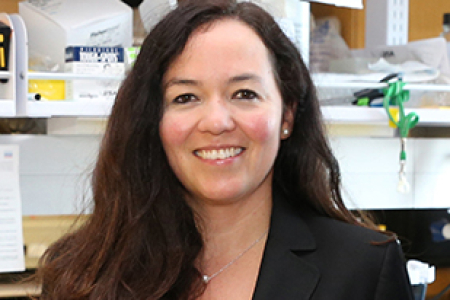Michelle Digman will be the first woman to serve as faculty chair of the UCI Department of Biomedical Engineering. 