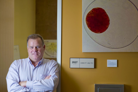 Jonathan Lakey is a pioneer in the transplantation of insulin-stimulating islet cells to treat Type 1 diabetes, but hurdles remain. Steve Zylius / UCI 