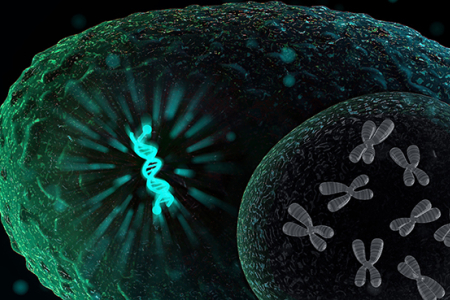 “Antibodies are the ‘magic bullets’ of biology, acting as drugs, molecular sensors for disease diagnosis, frontline therapeutics for outbreaks and fundamental research tools for biomedical discovery,” says Liu.