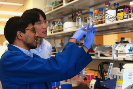 Arjun Ravikumar, who recently earned his Ph.D. in biomedical engineering at UCI, and his advisor, Chang Liu, UCI assistant professor of biomedical engineering, collaborated on a study published in Cell that details a new method for simplifying and acceler