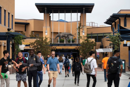Among all surveyed U.S. universities and colleges, UCI’s undergraduate programs in game/simulation development and software engineering were ranked seventh and ninth, respectively, by U.S. News & World Report. Steve Zylius / UCI