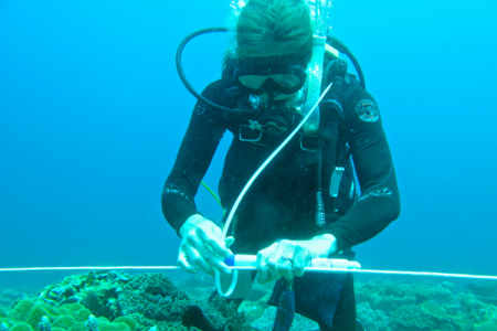 Kristen Davis, UCI assistant professor of Earth system science and civil & environmental engineering attaches a temperature sensor to a fiberoptic cable at the Dongsha Atoll reef.