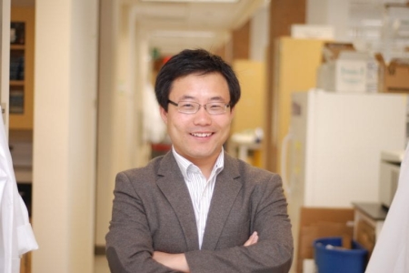 “The MOSAICA technology is a next-generation biopsy tool that will enable scientists and clinicians to simultaneously profile many biomarkers in cells and tissues. The ability to characterize the cellular composition, function and interaction within complex tumors will inform personalized disease diagnosis and therapeutic treatment,” says Weian Zhao, Ph.D., UCI professor of pharmaceutical sciences and study co-corresponding author. School of Pharmacy & Pharmaceutical Sciences / UCI