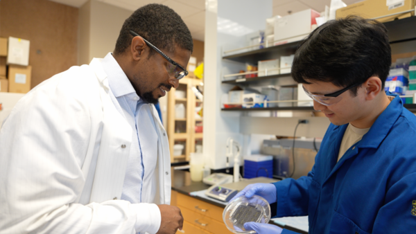 Quinton Smith is looking at a silicon wafer mold of microfluidic channels made by his Ph.D. student Eric Wang. (Photo: Natalie Tso/UCI)