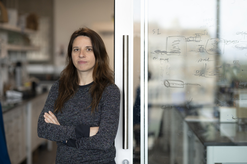 Iryna Zenyuk wearing a gray sweater at her UCI lab, poses with arms folded.