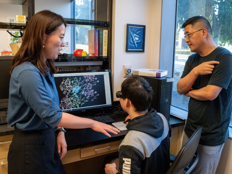 Two researchers examine an X-ray crystal structure with a graduate student